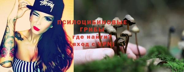 экстази Алексеевка