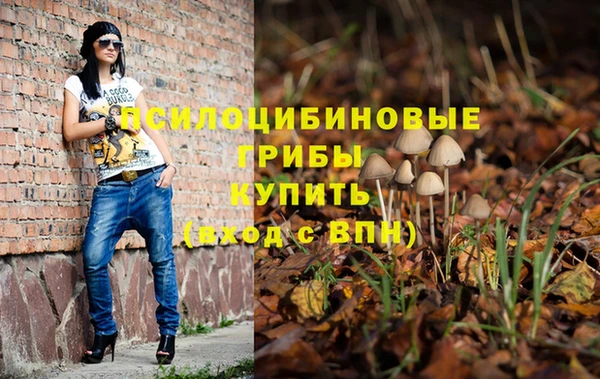 дмт Алексин