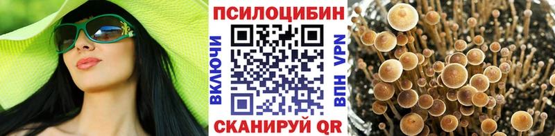 что такое наркотик  Харовск  Псилоцибиновые грибы Cubensis 