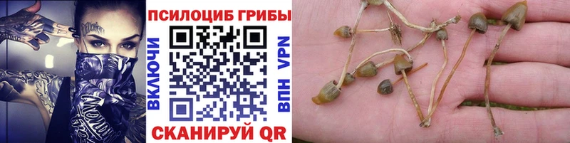 Галлюциногенные грибы GOLDEN TEACHER Харовск